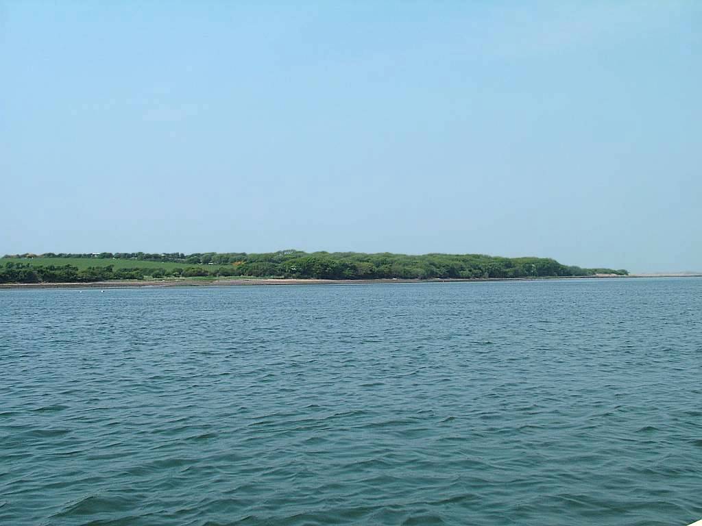 Click now to see this image full size.