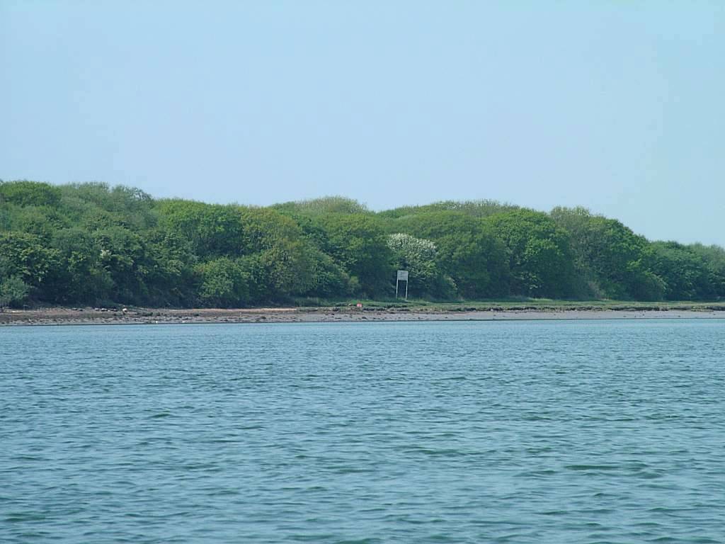 Click now to see this image full size.