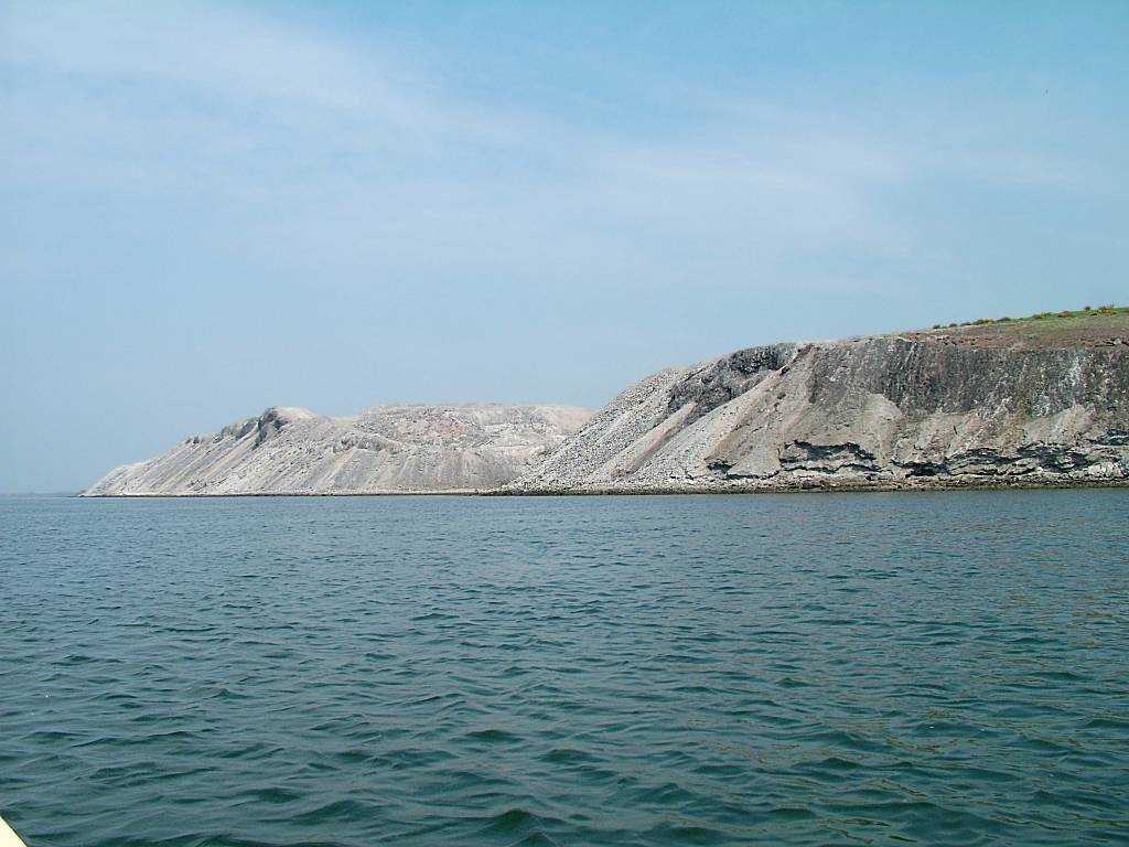 Click now to see this image full size.