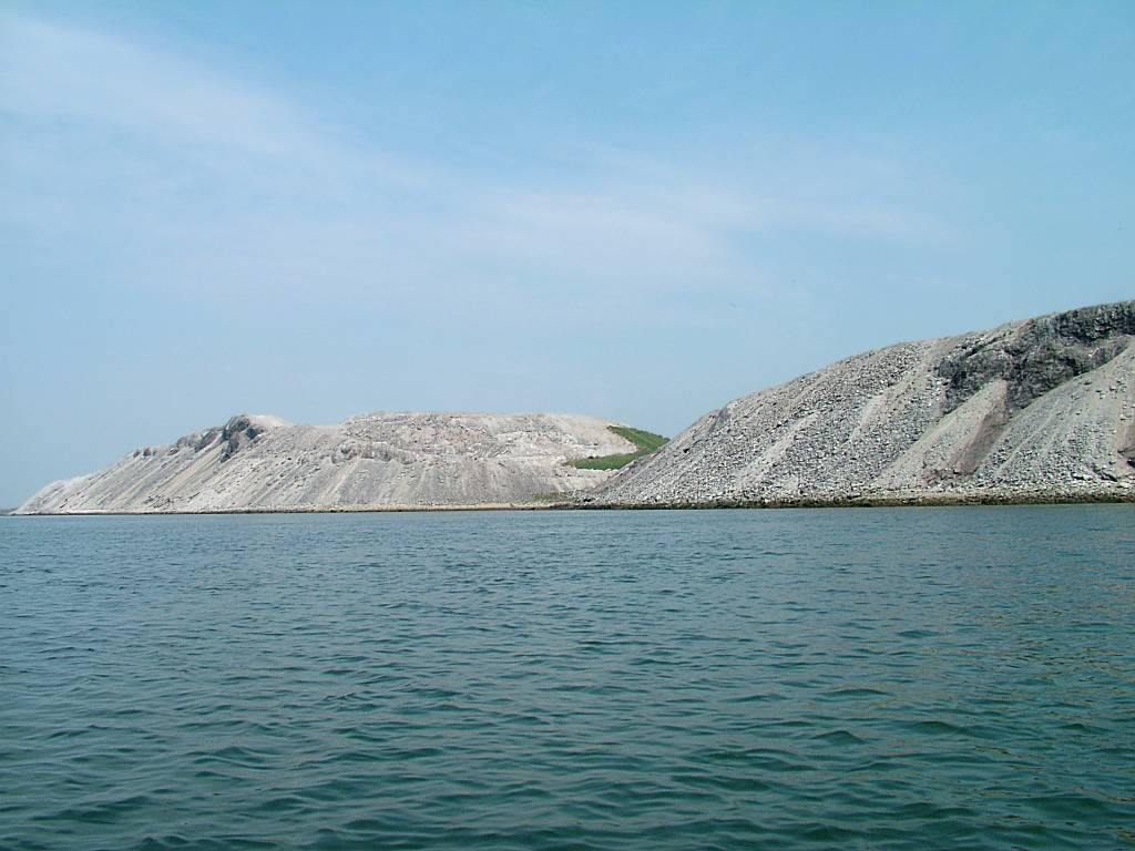 Click now to see this image full size.