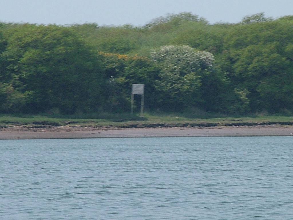 Click now to see this image full size.