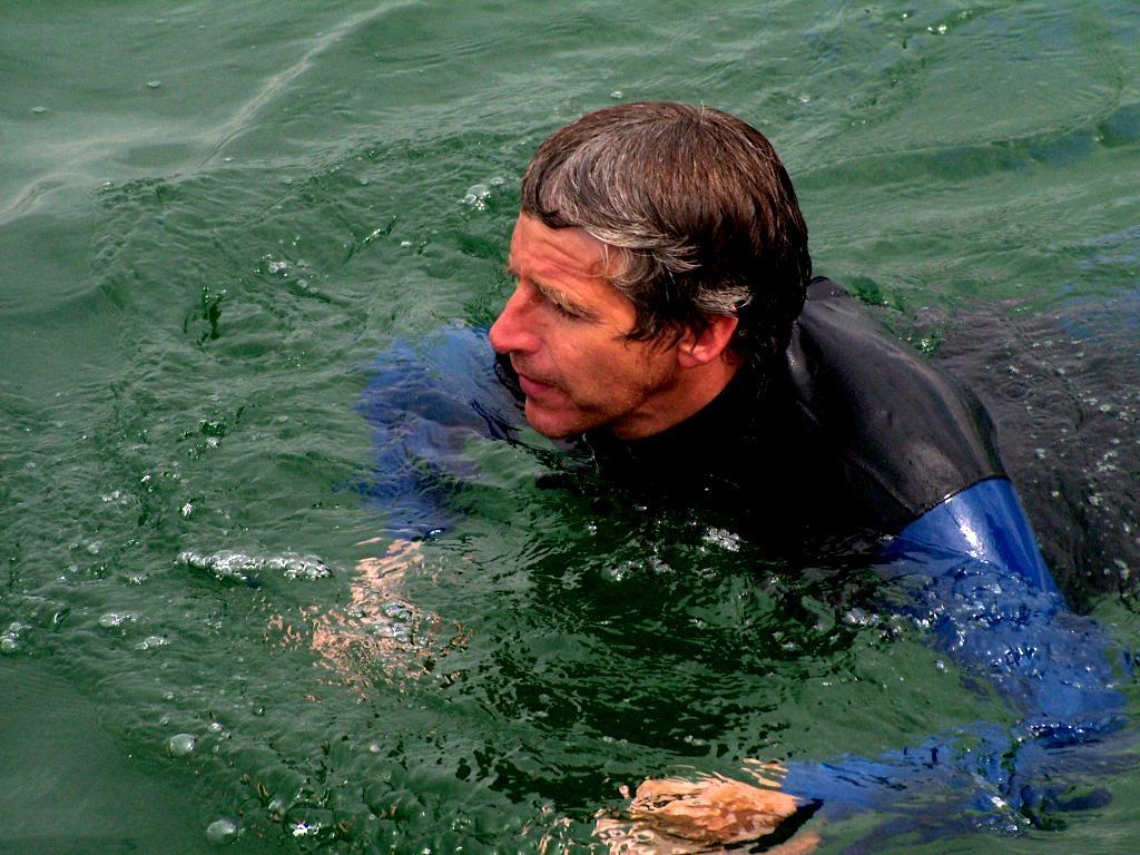 Click now to see this image full size.