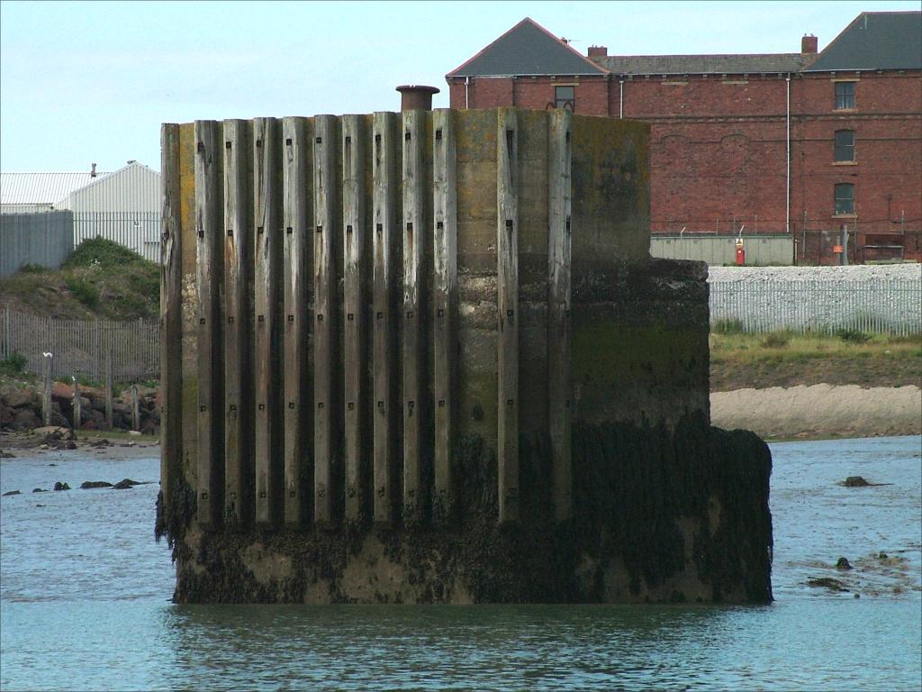 Click now to see this image full size.