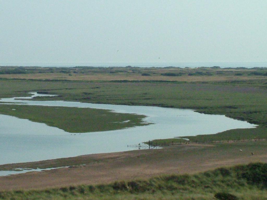 Click now to see this image full size.