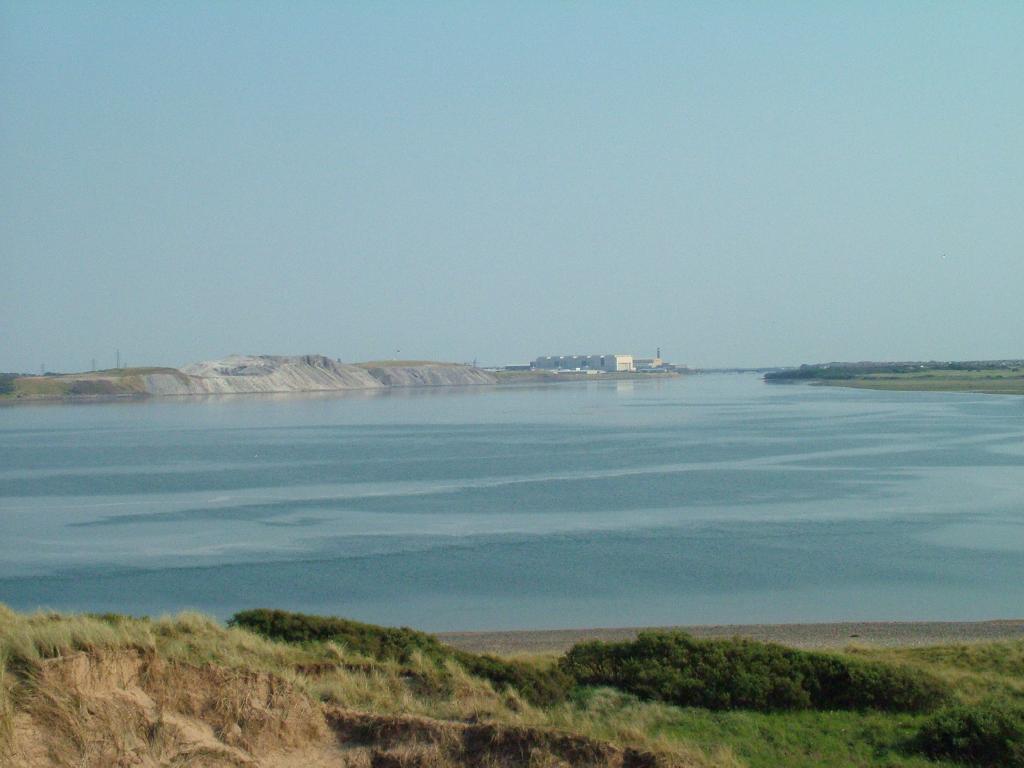 Click now to see this image full size.