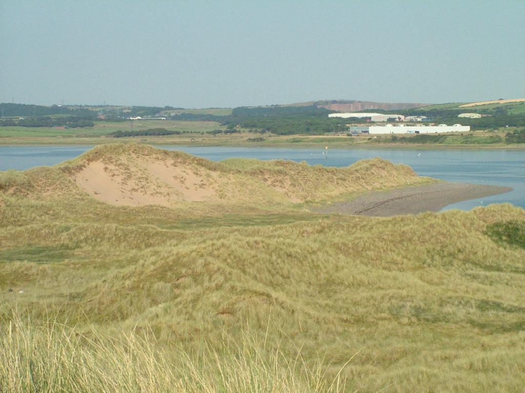 Click now to see this image full size.