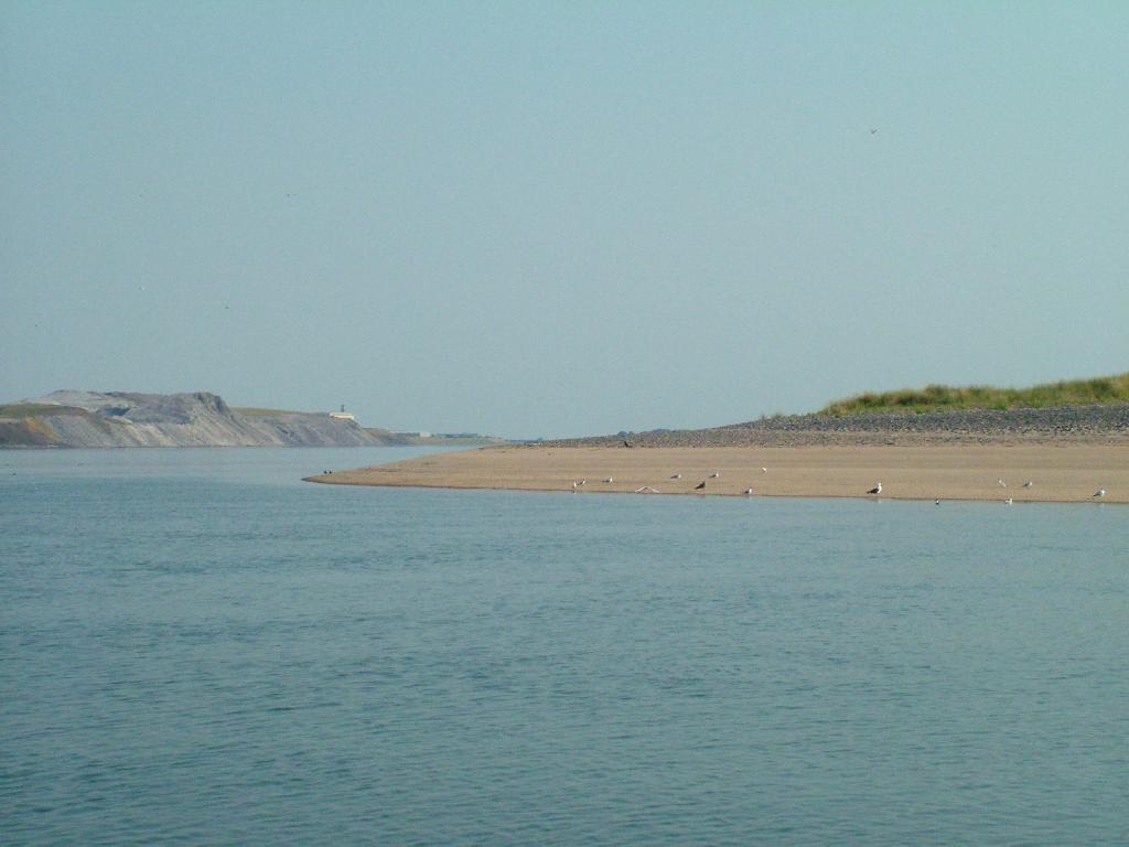 Click now to see this image full size.