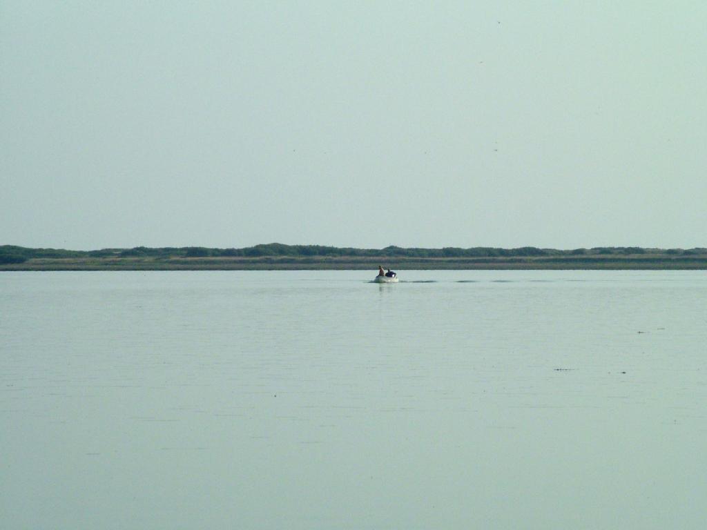 Click now to see this image full size.