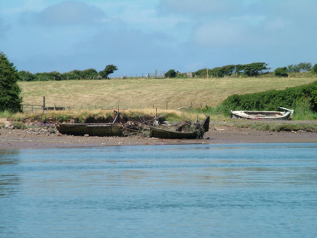 Click now to see this image full size.