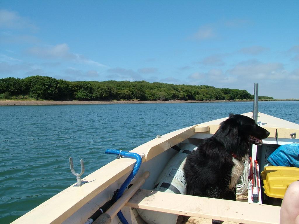 Click now to see this image full size.