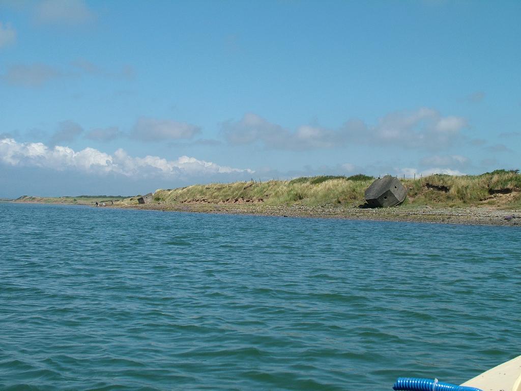 Click now to see this image full size.