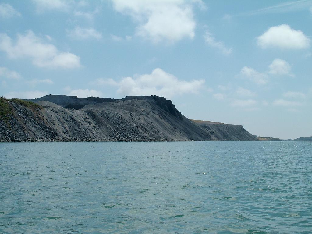 Click now to see this image full size.