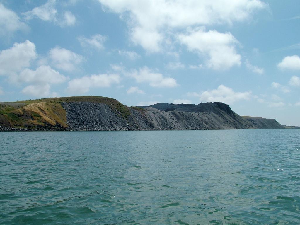 Click now to see this image full size.