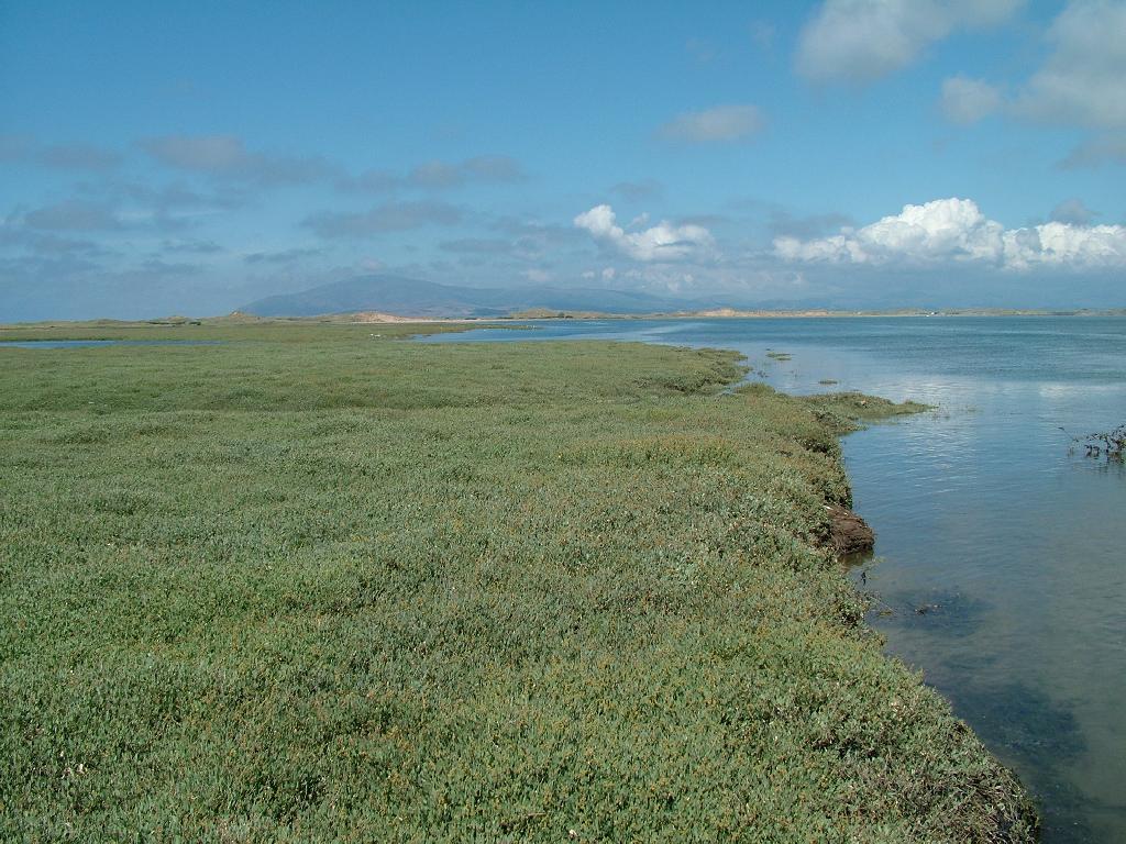 Click now to see this image full size.