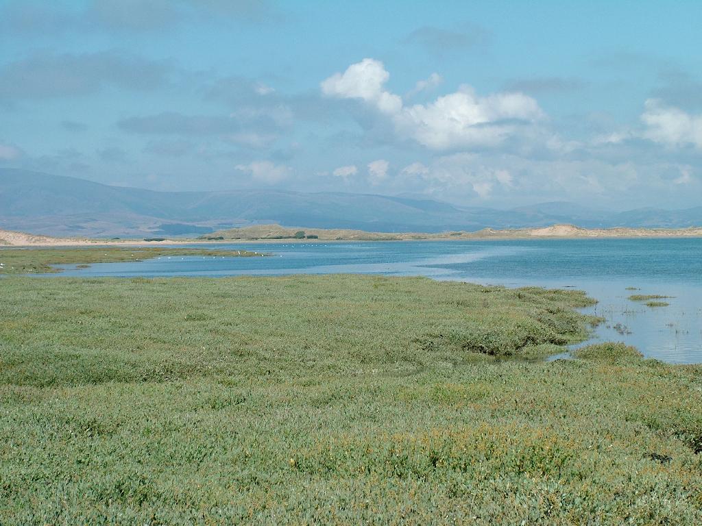 Click now to see this image full size.