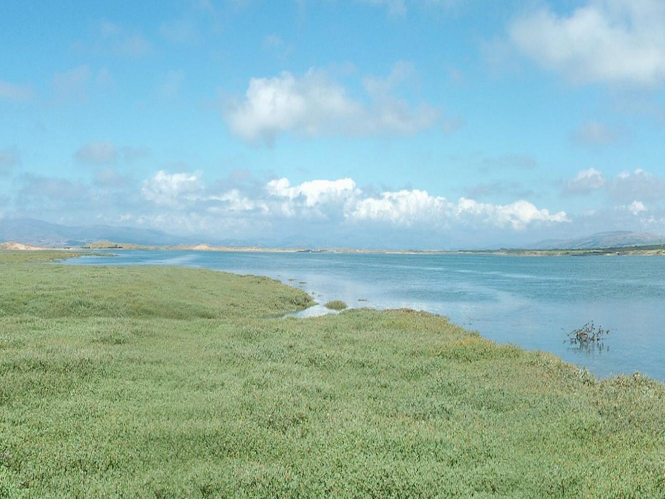 Click now to see this image full size.