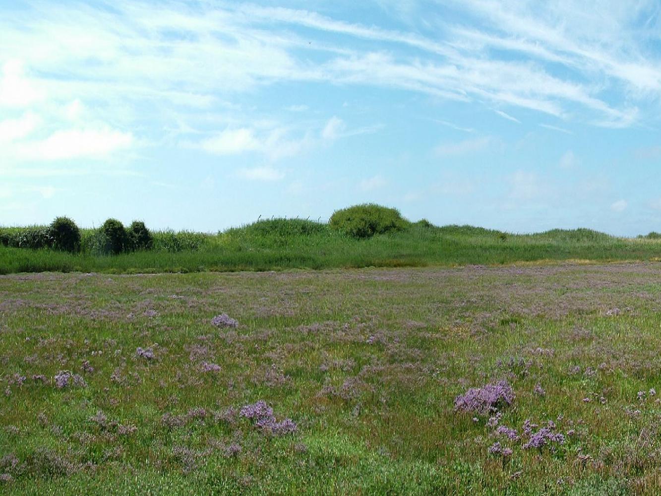 Click now to see this image full size.