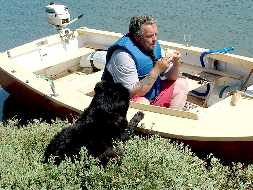 Click now to see this image full size.