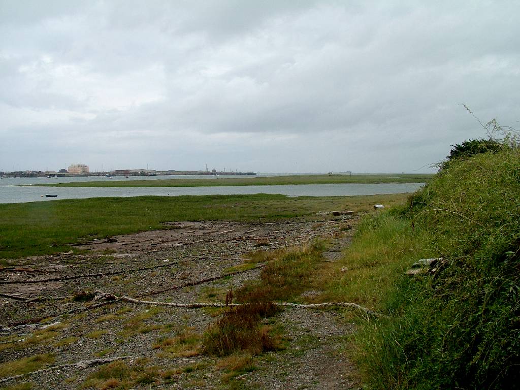 Click now to see this image full size.