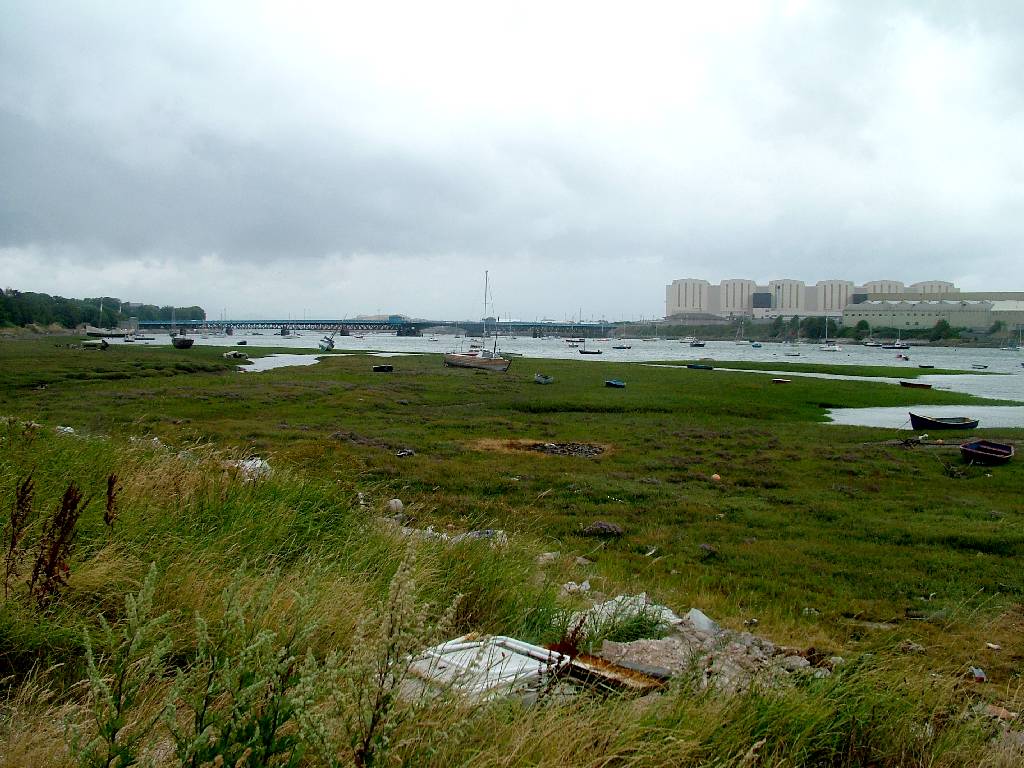 Click now to see this image full size.