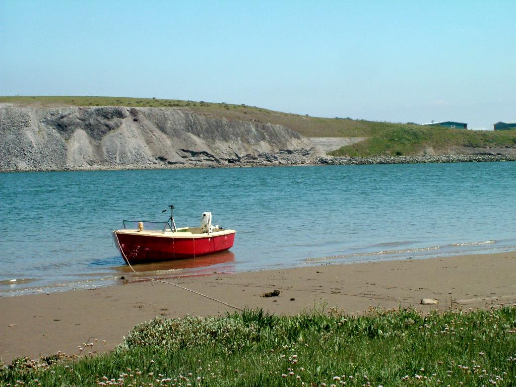 Click now to see this image full size.