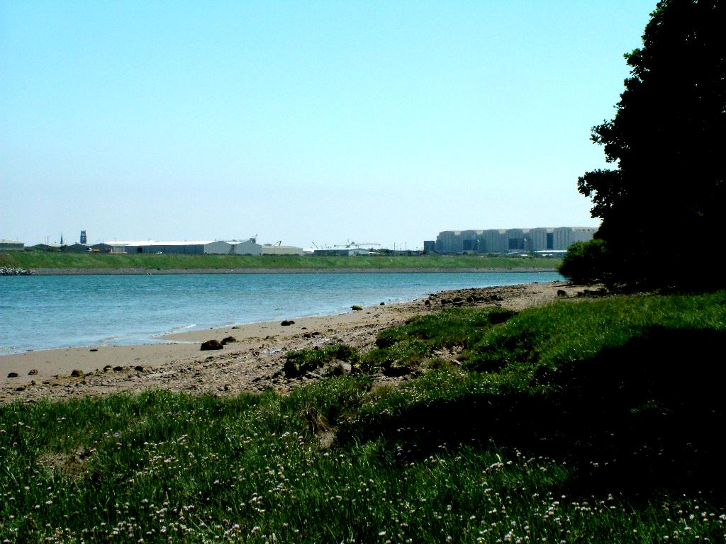 Click now to see this image full size.