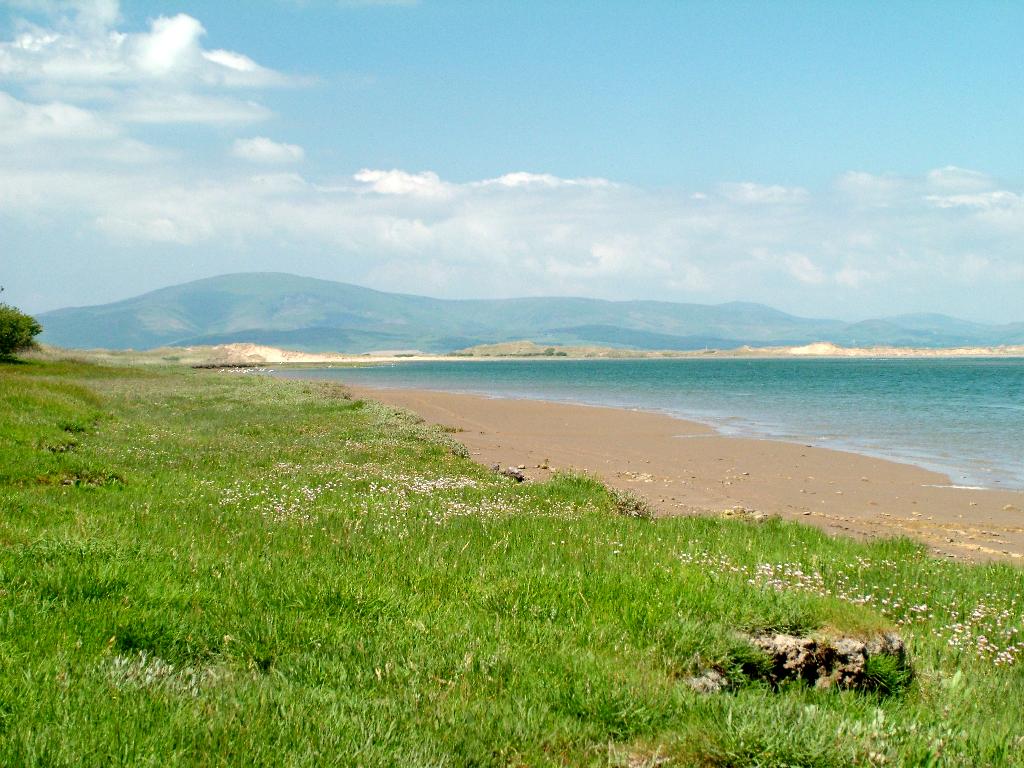 Click now to see this image full size.