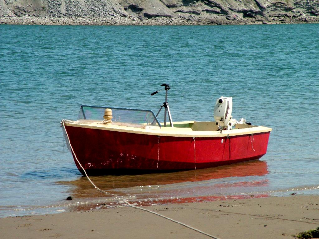 Click now to see this image full size.