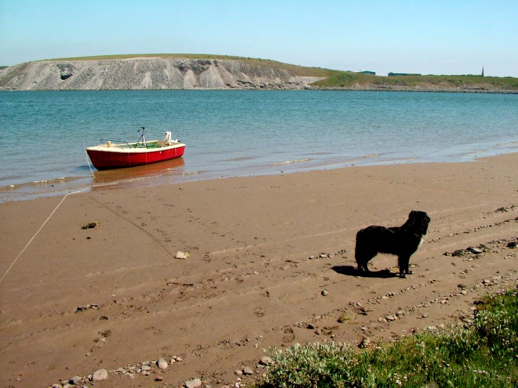 Click now to see this image full size.