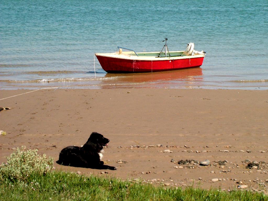 Click now to see this image full size.