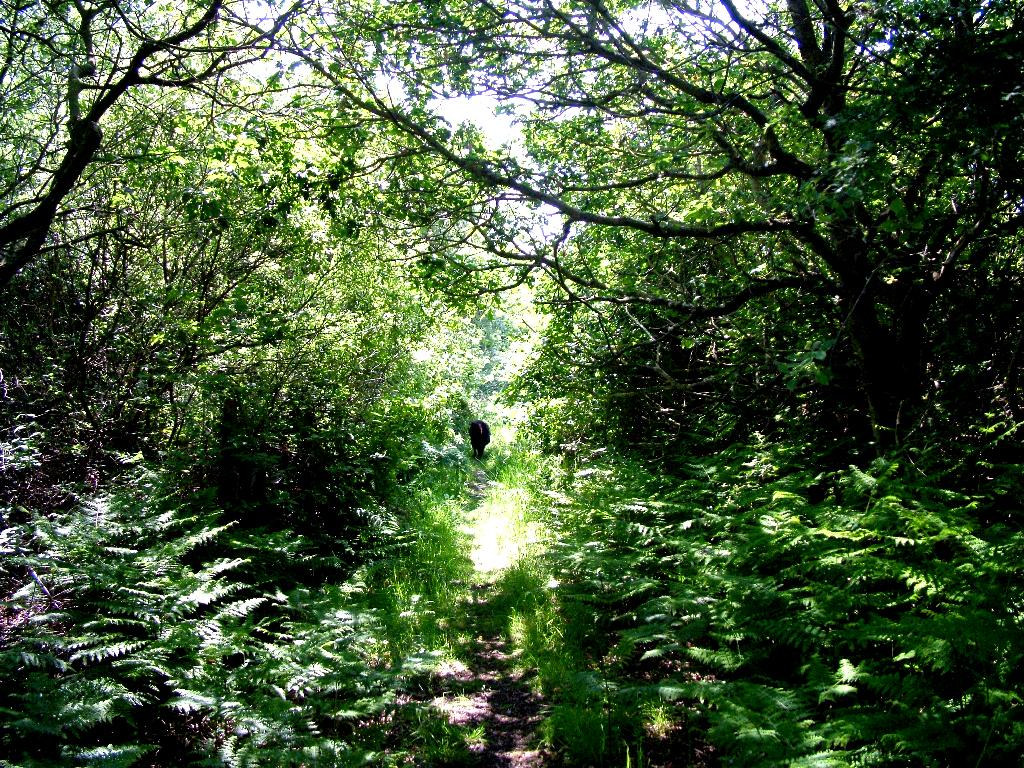 Click now to see this image full size.