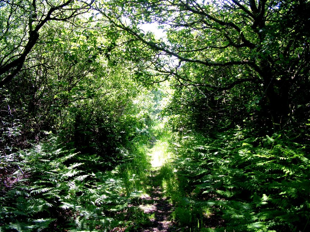 Click now to see this image full size.