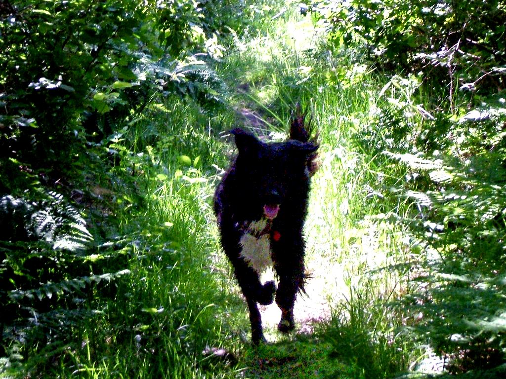 Click now to see this image full size.