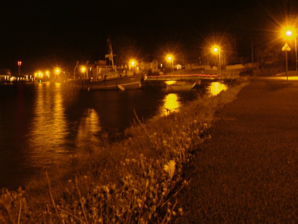 Click now to see this image full size.