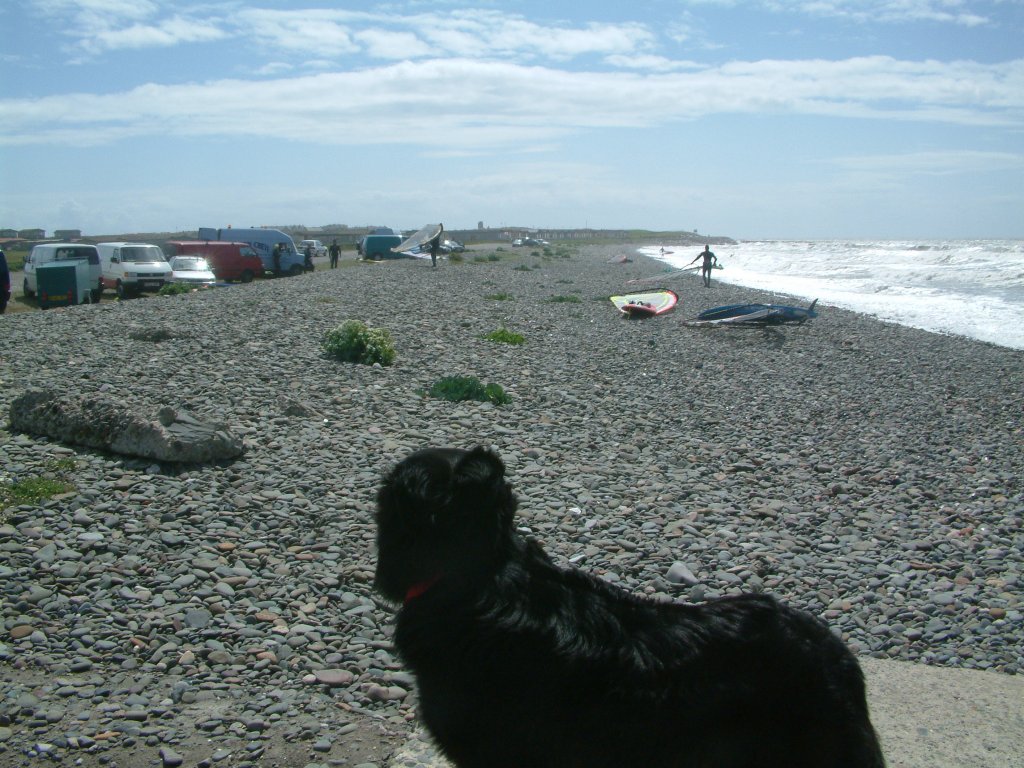 Click now to see this image full size.