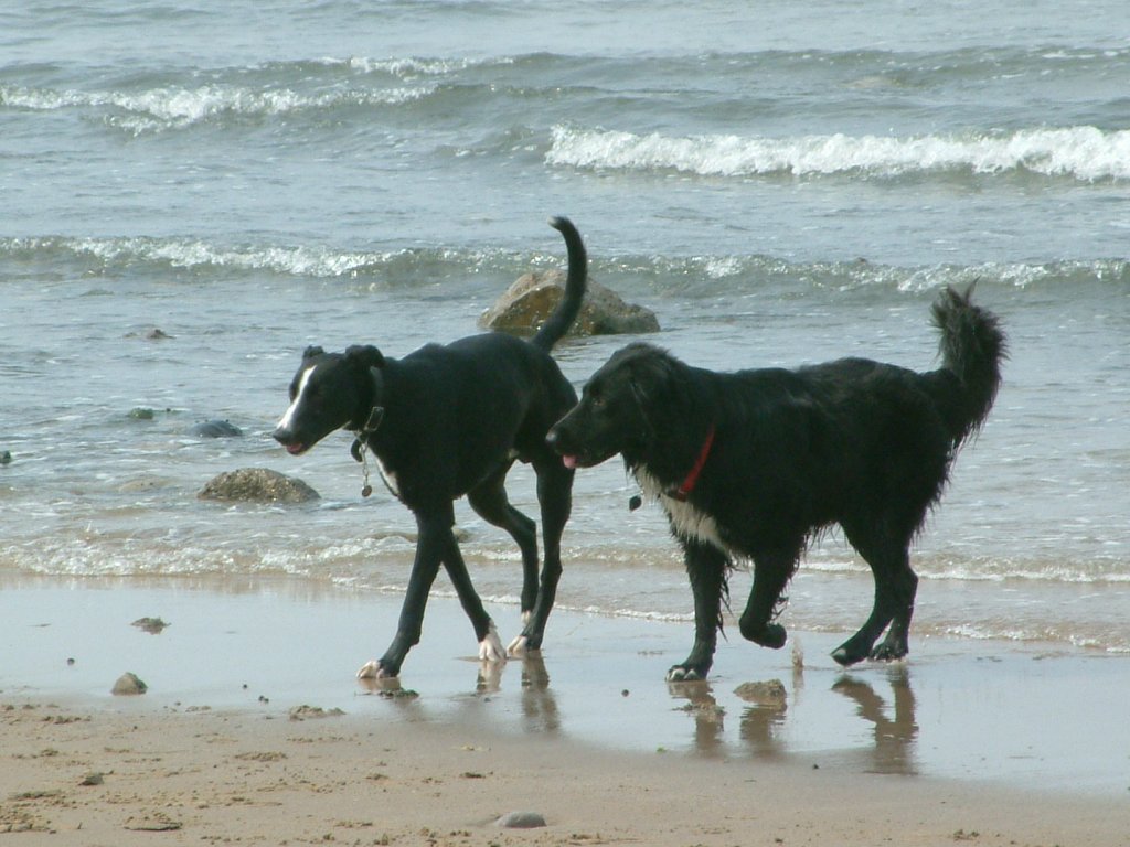 Click now to see this image full size.