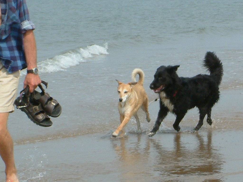 Click now to see this image full size.