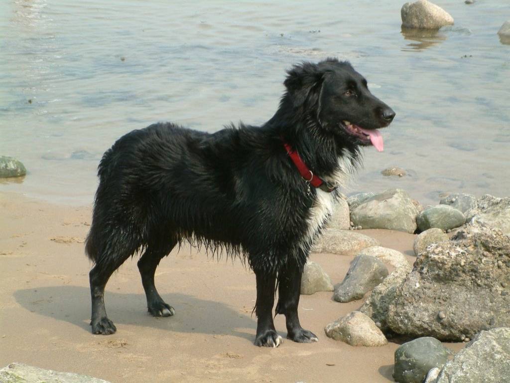 Click now to see this image full size.