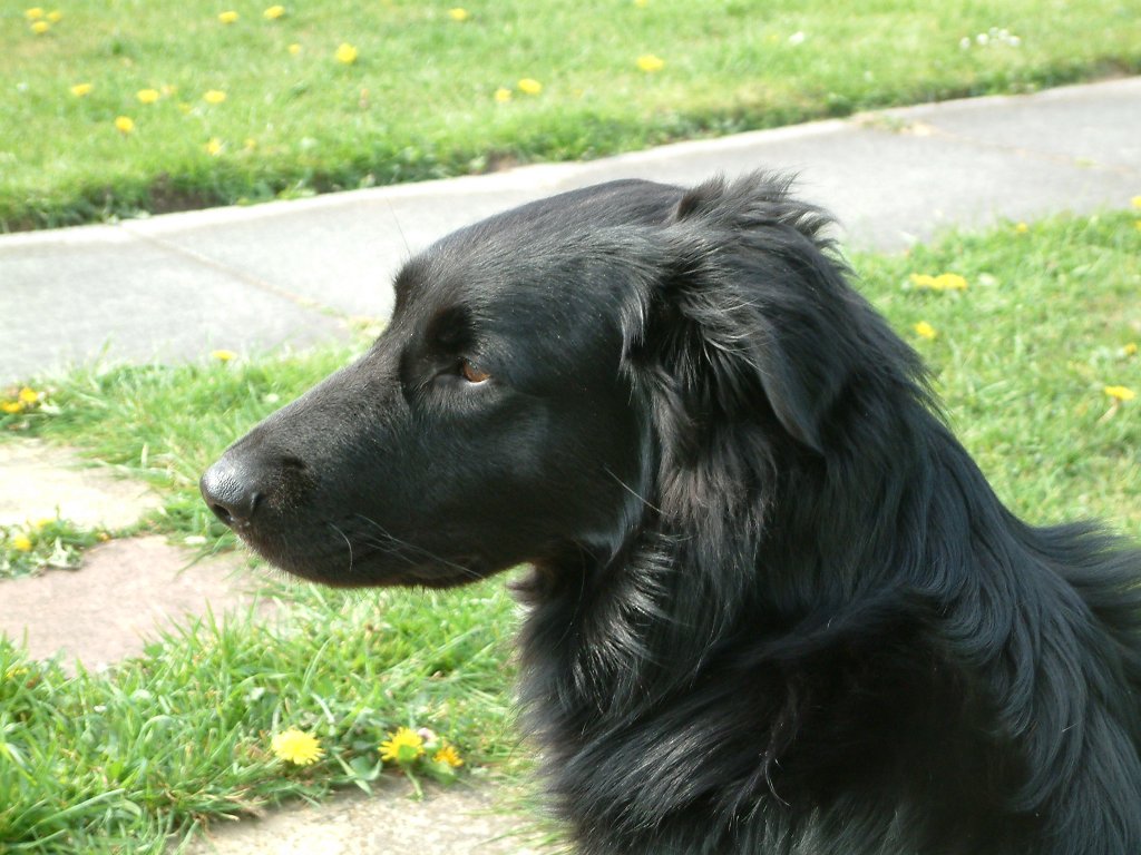 Click now to see this image full size.