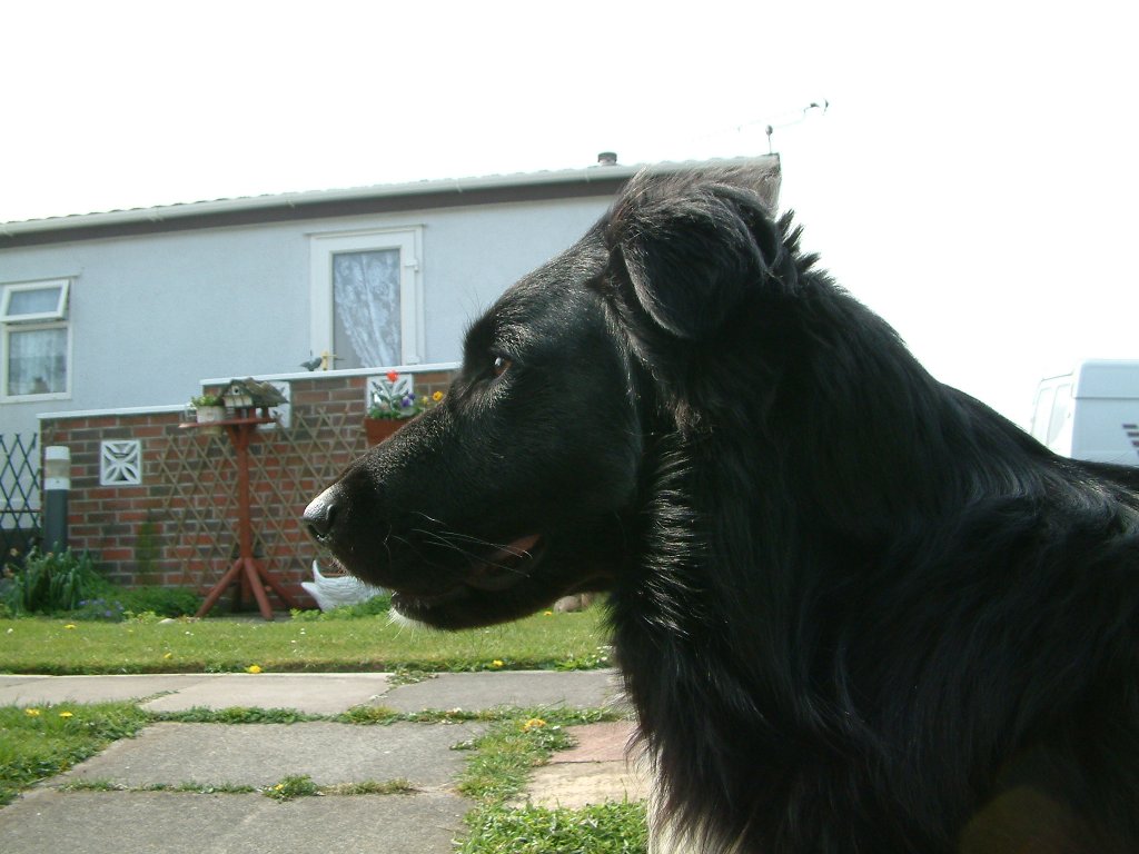 Click now to see this image full size.