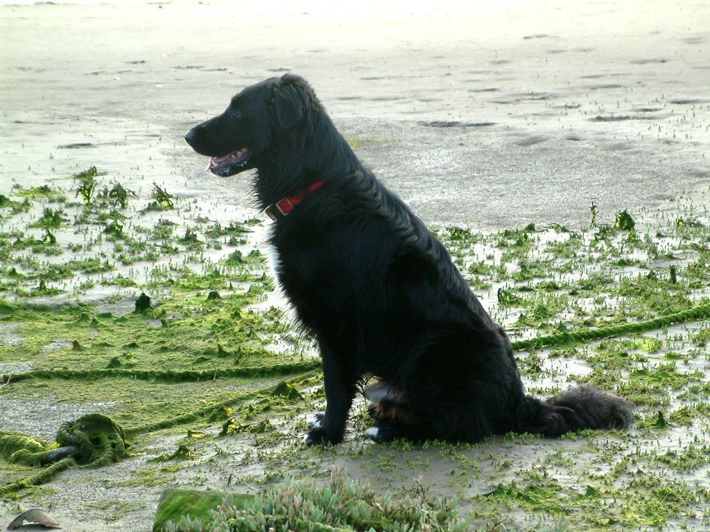 Click now to see this image full size.