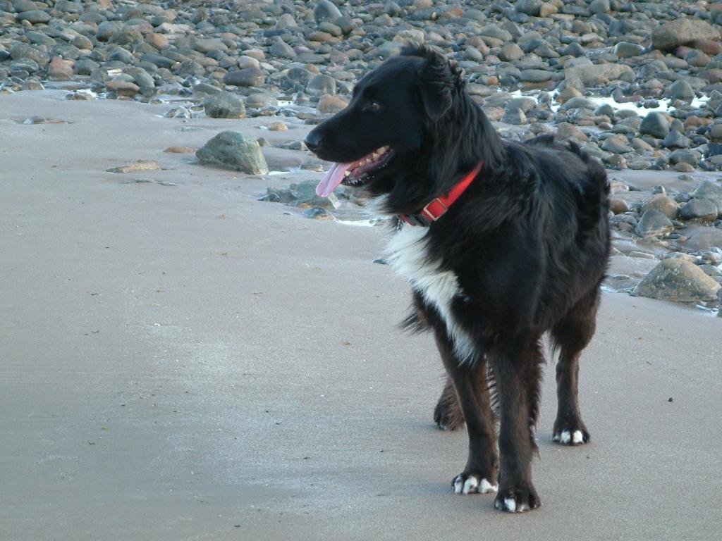 Click now to see this image full size.