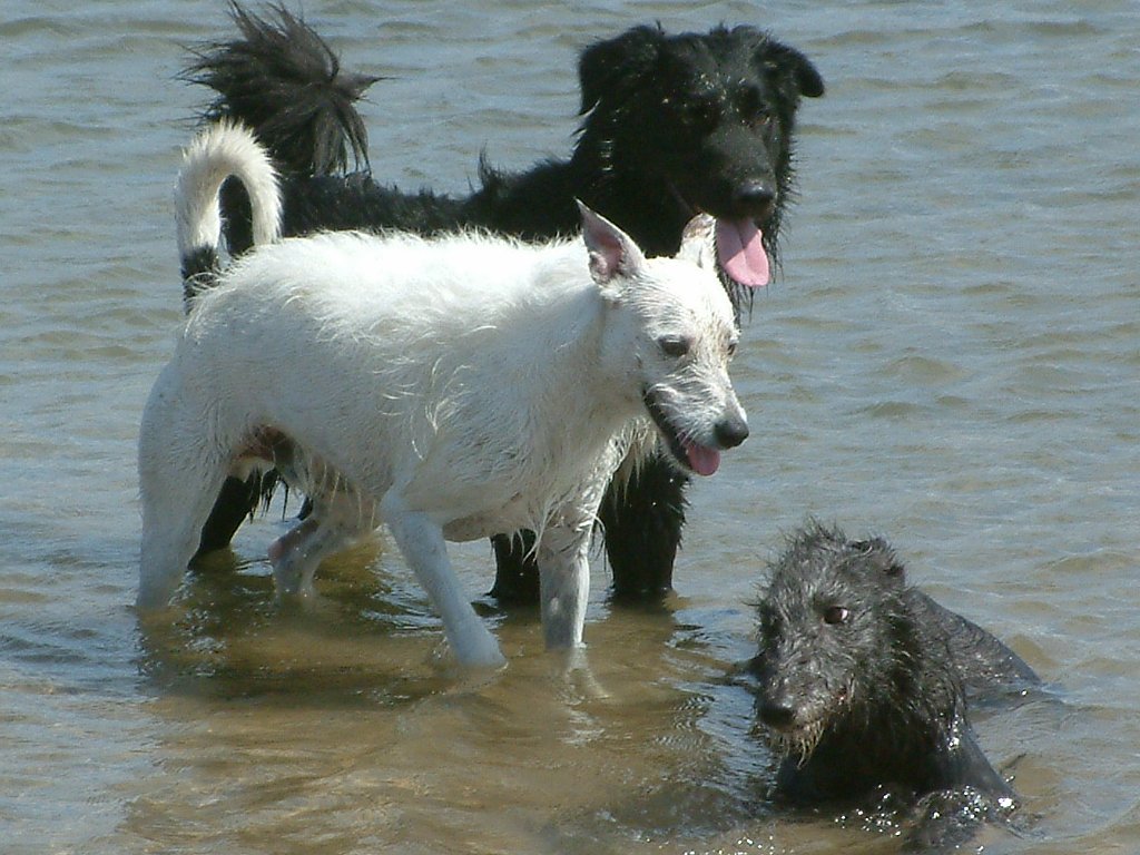 Click now to see this image full size.