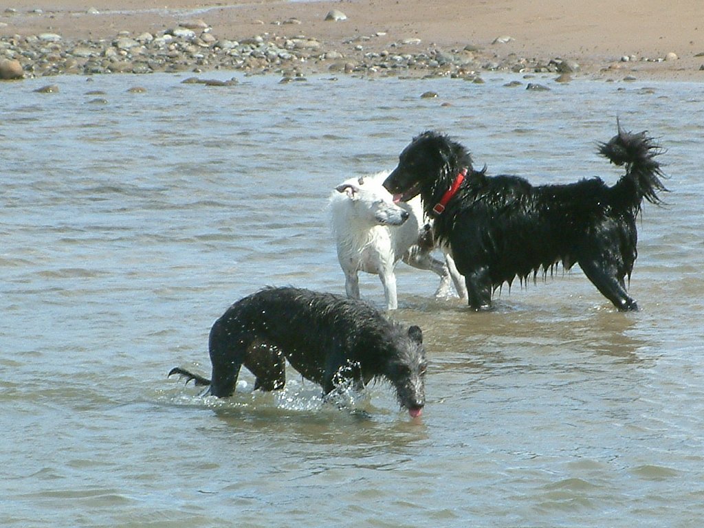 Click now to see this image full size.