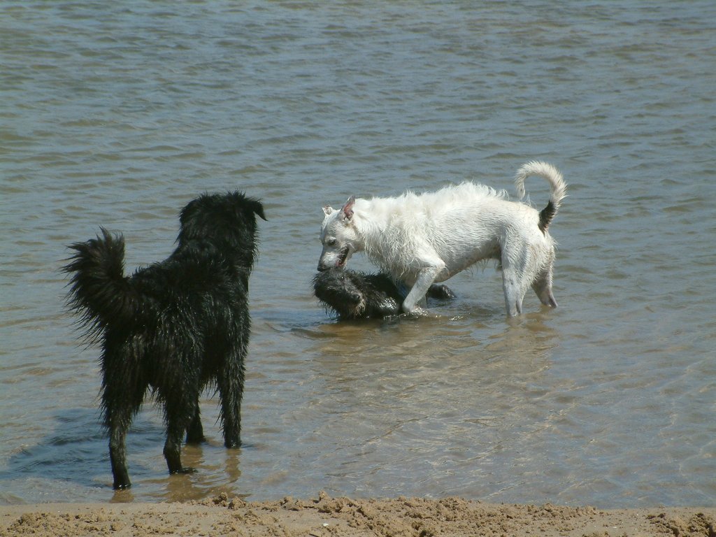 Click now to see this image full size.