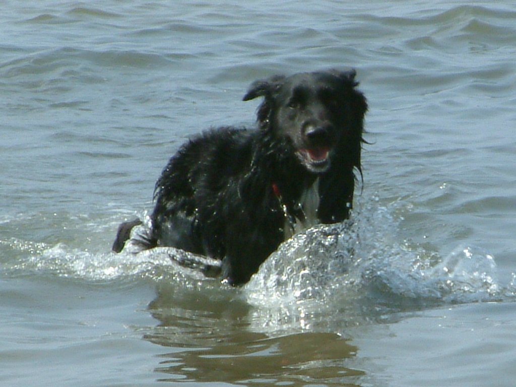 Click now to see this image full size.