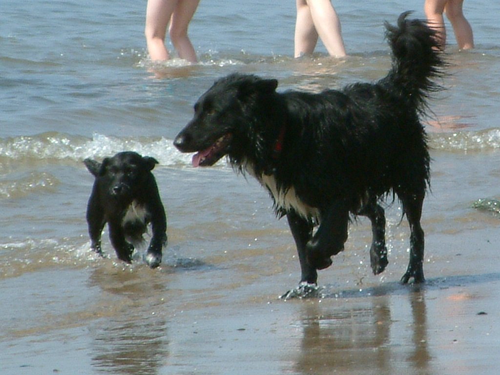 Click now to see this image full size.