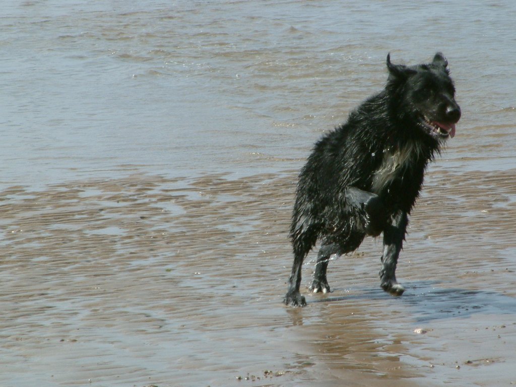 Click now to see this image full size.