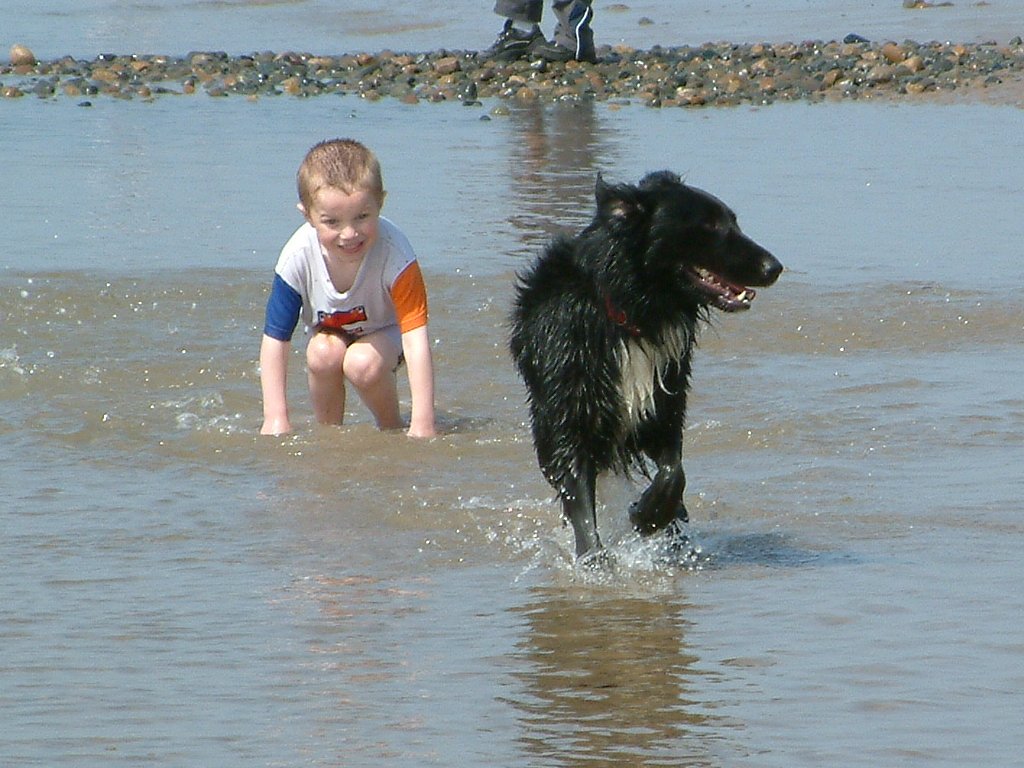 Click now to see this image full size.