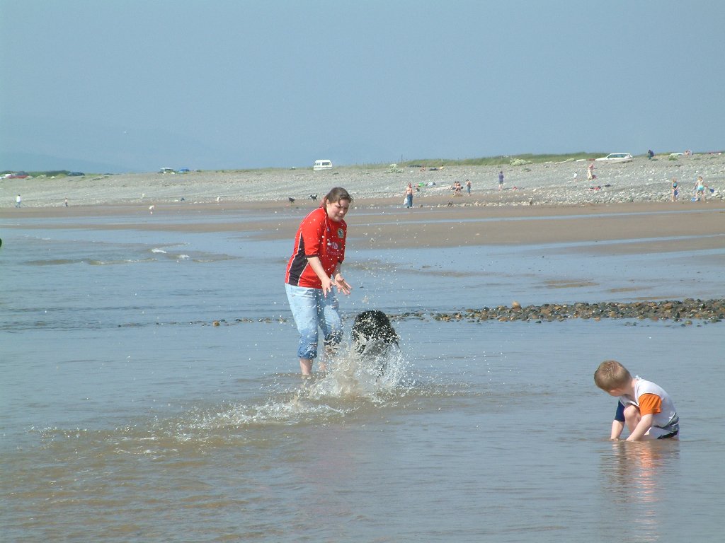 Click now to see this image full size.